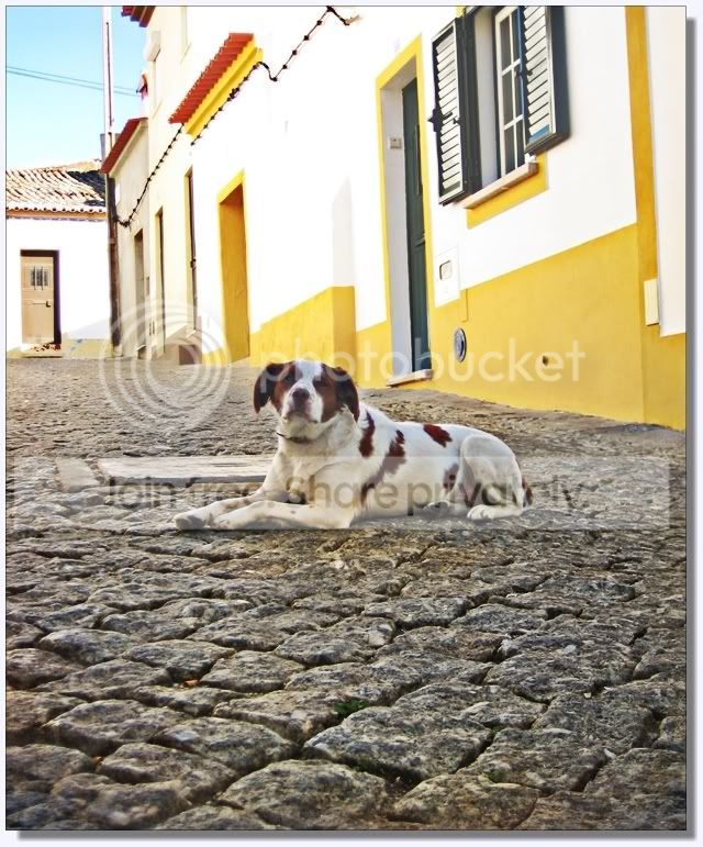 AlterdoChao2_640_008.jpg