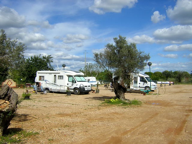 7201284vcg.jpg