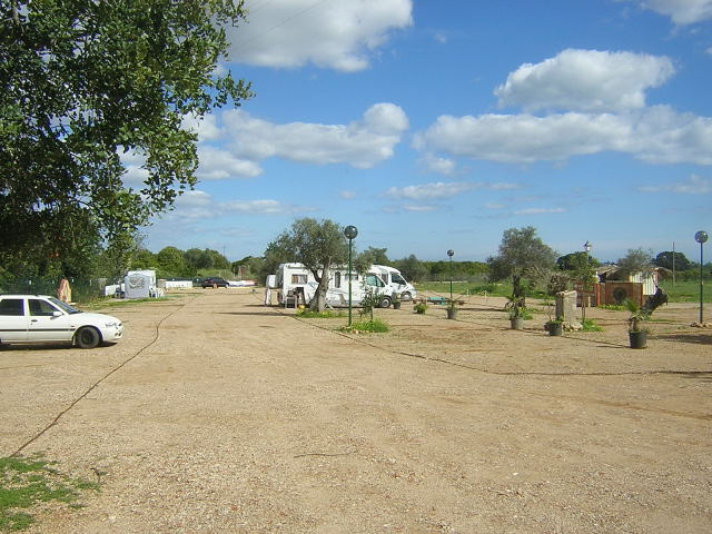 7201259wet.jpg