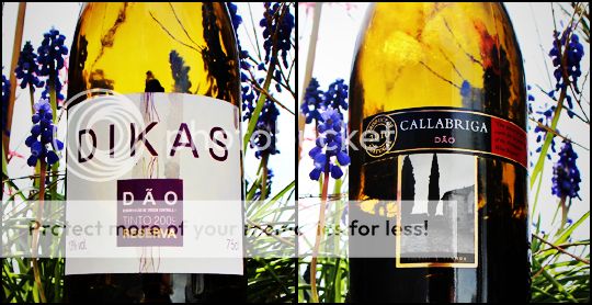 DAO-DikasCallabriga_zpsye2jfwcl.jpg