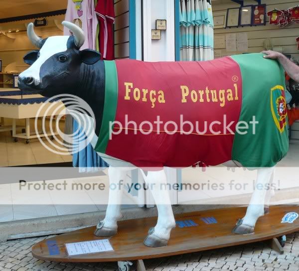 kuh-portugal.jpg