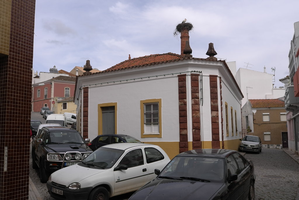 39820862tc.jpg