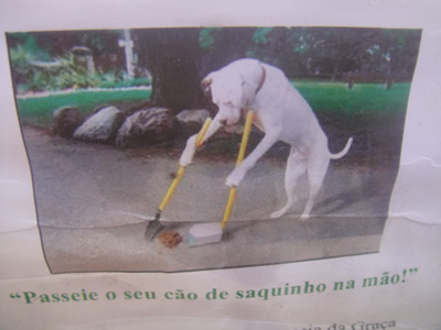 3390900.jpg