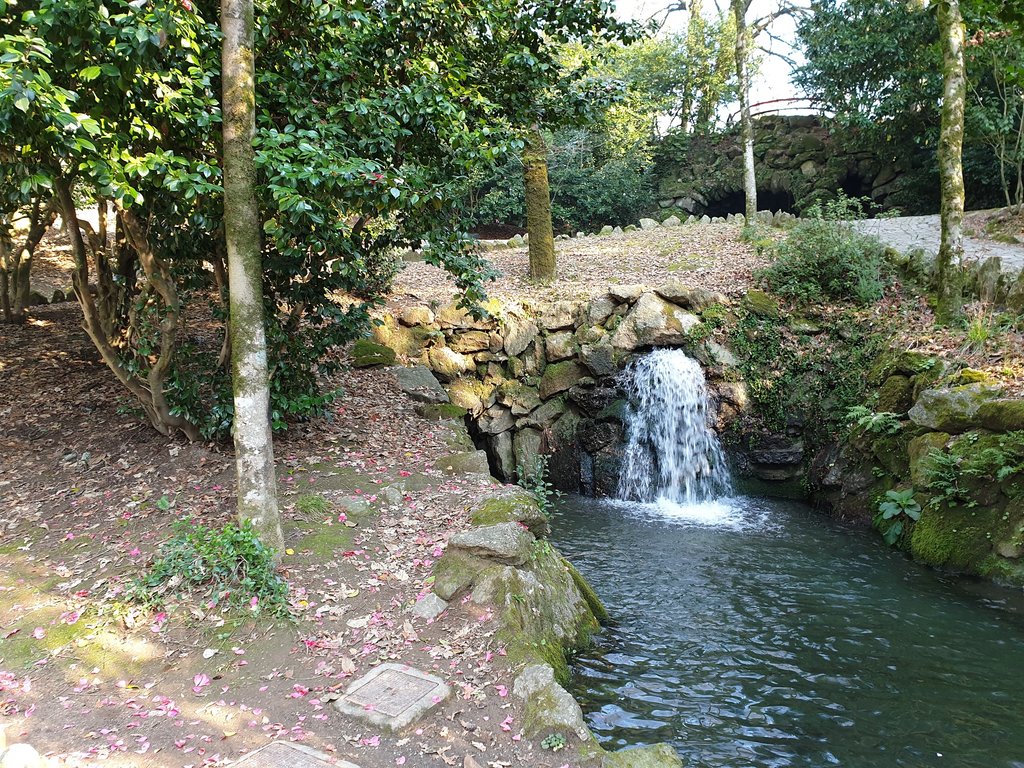 37687445gk.jpg