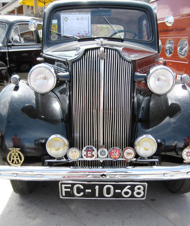 7939430jpv.jpg