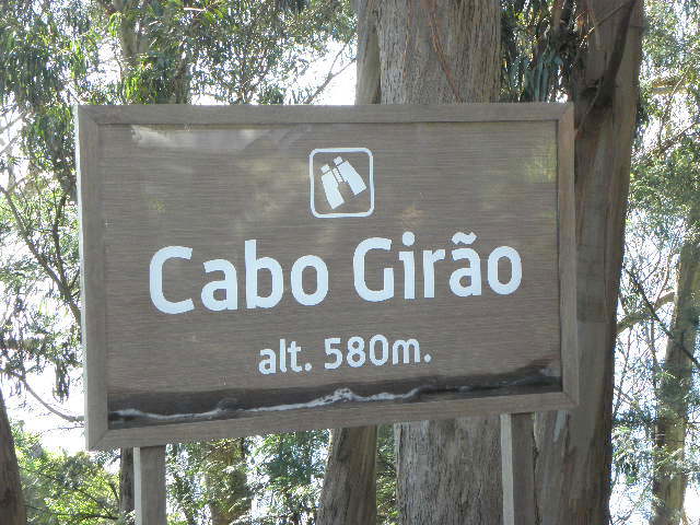 3763457.jpg