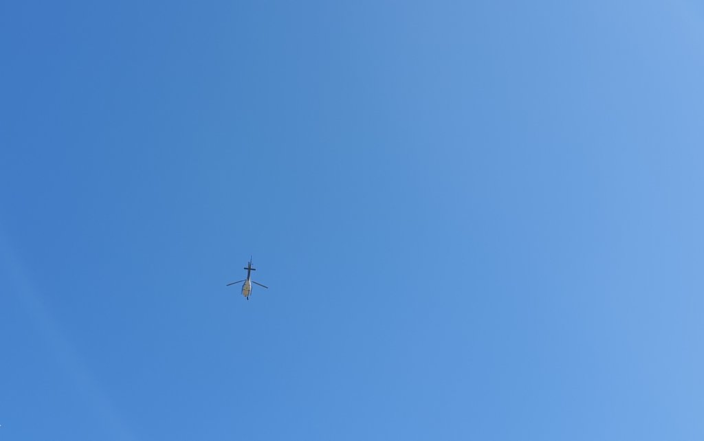44169949lo.jpg
