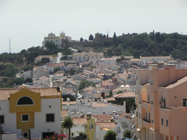 5030389.jpg