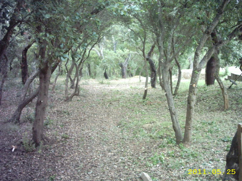 8052193frb.jpg