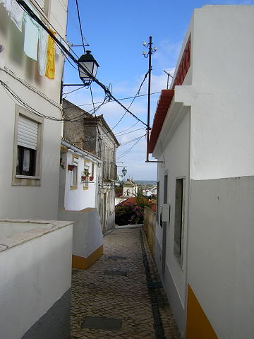 6137852.jpg