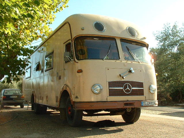 4849217.jpg