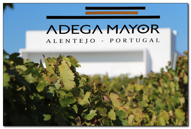 Adega_Mayor640_12.jpg