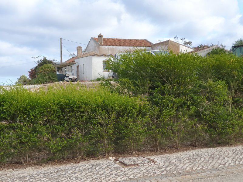 44218677ei.jpg