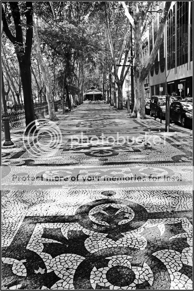 liberdade_zps9960e83a.jpg