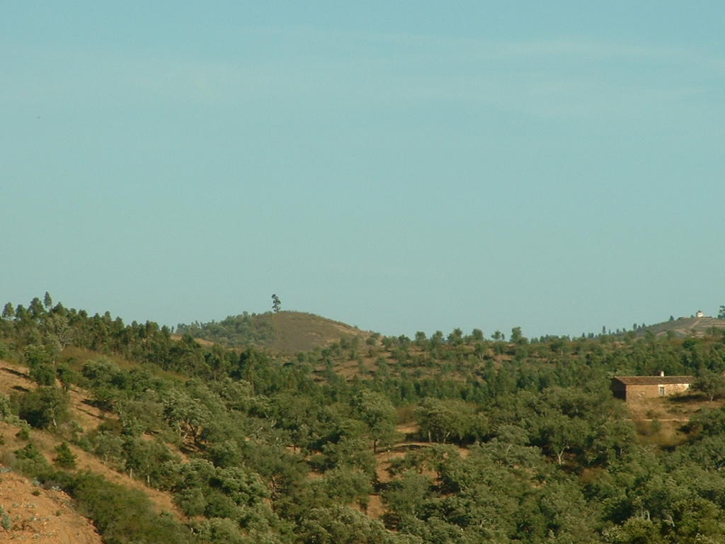 4943229.jpg