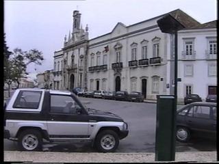 3261630.jpg
