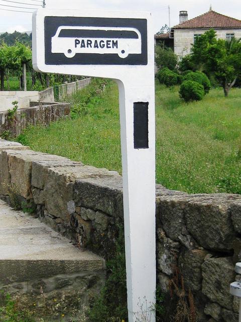 4619124.jpg