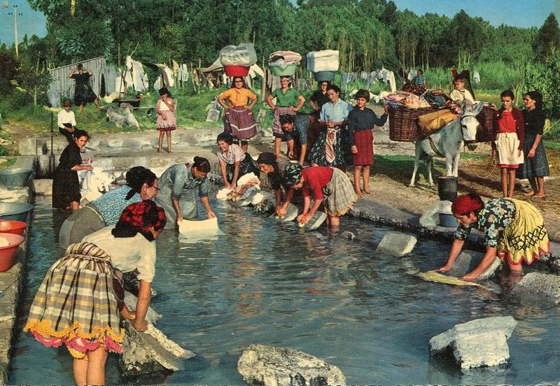 19590833tk.jpg