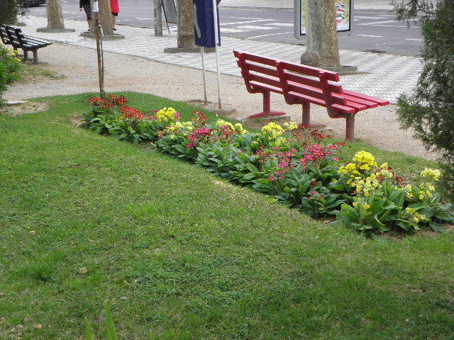4036971.jpg