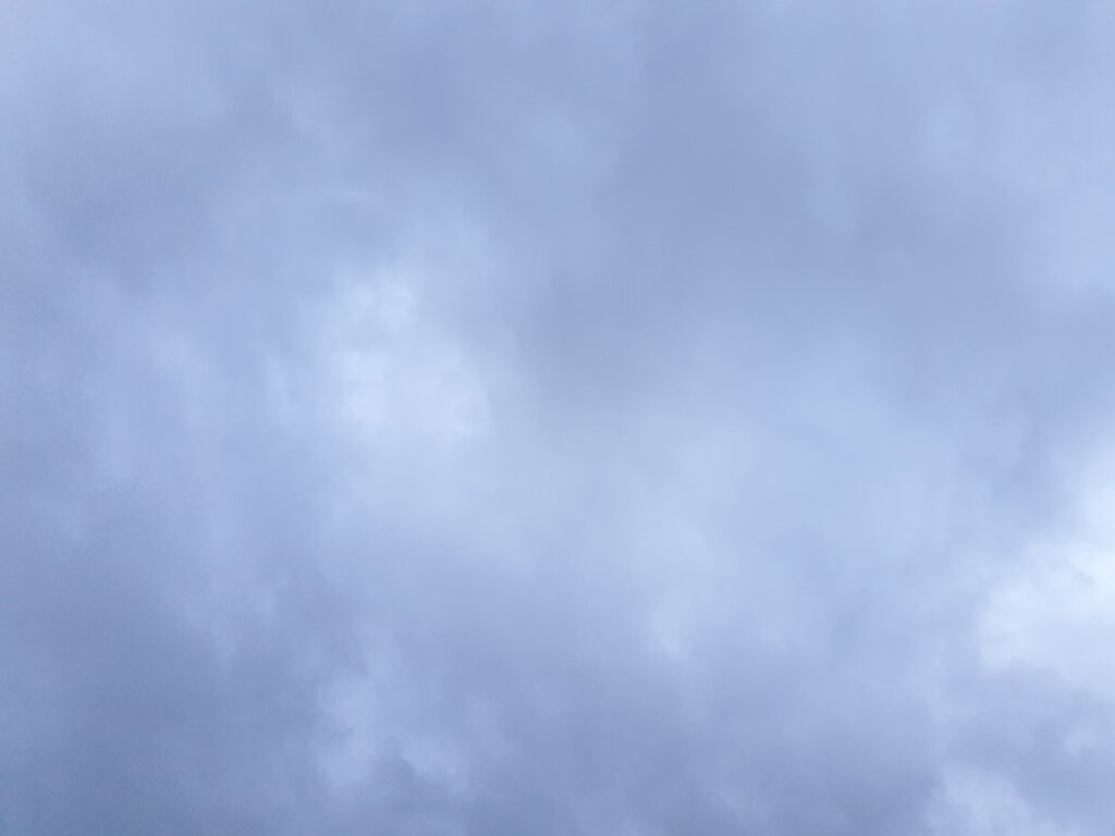 51239950mt.jpg