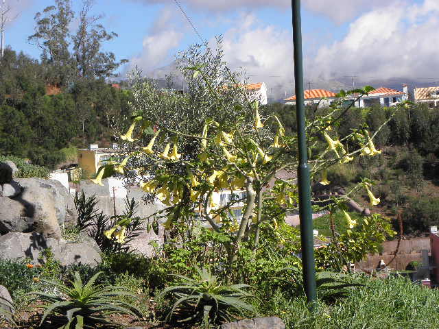 3766242.jpg
