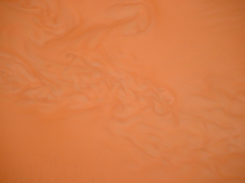 4825723.jpg