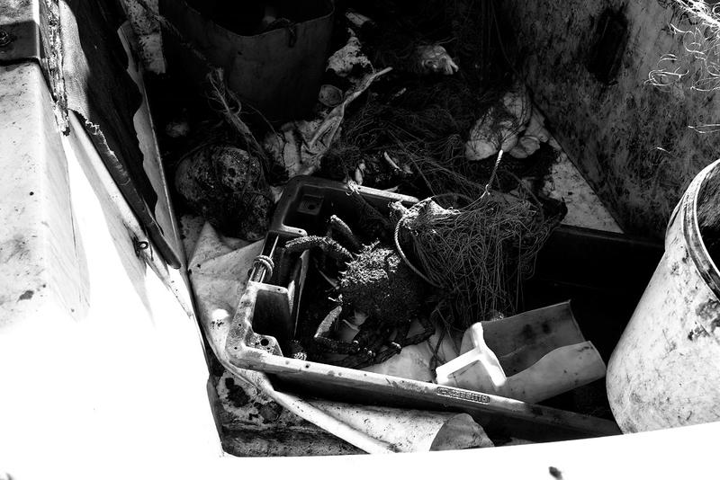 28129456pn.jpg