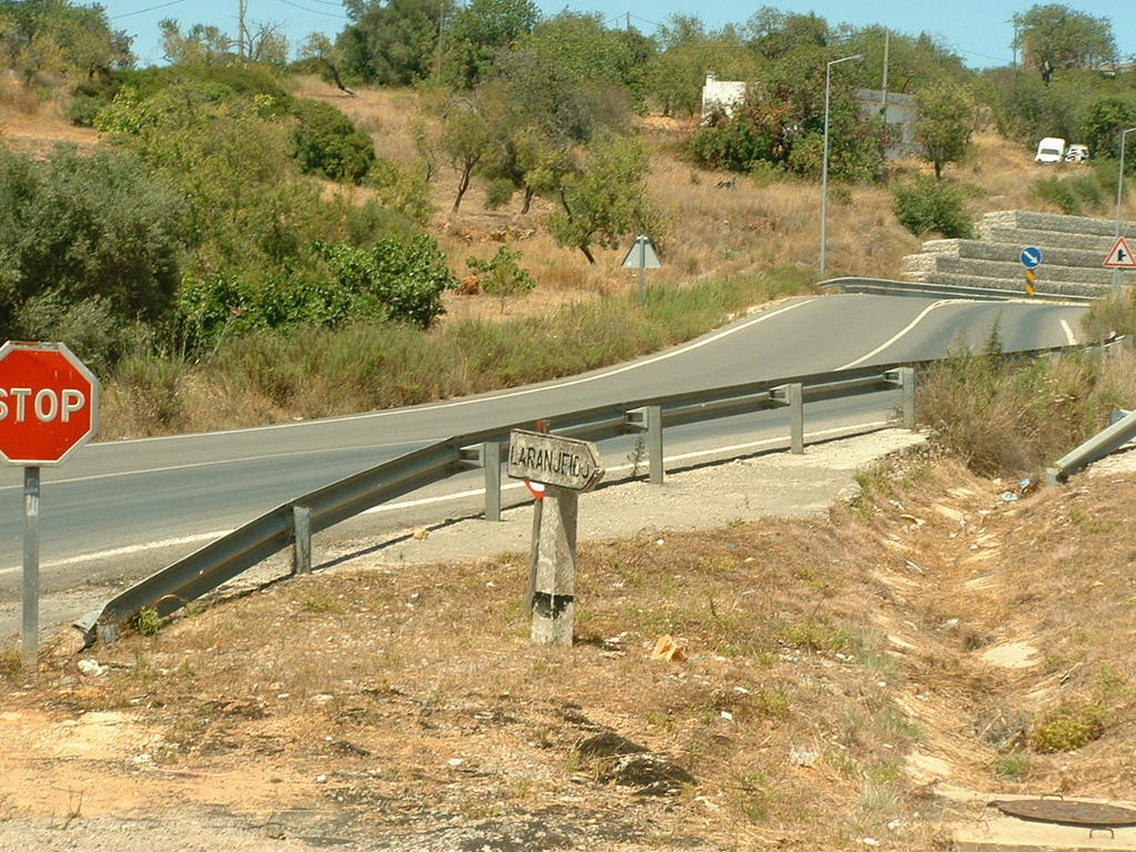 4923359.jpg