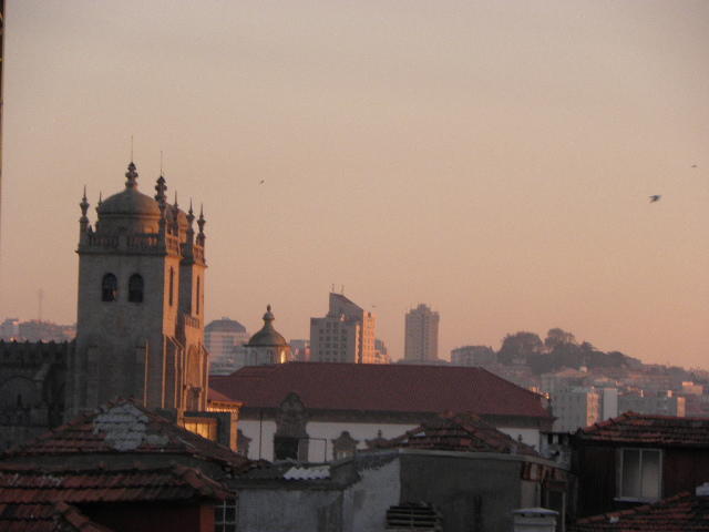 3295891.jpg