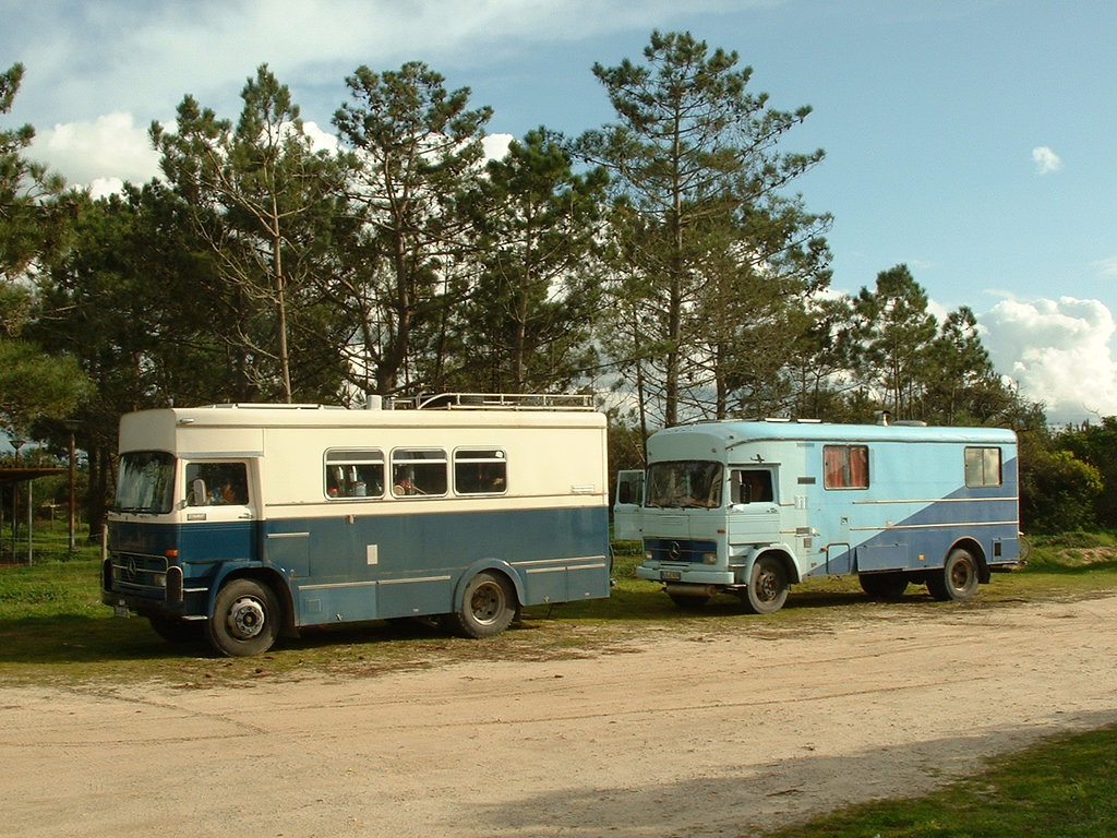 39424369jr.jpg