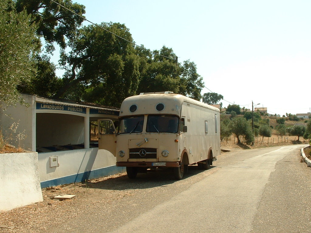39681421vi.jpg