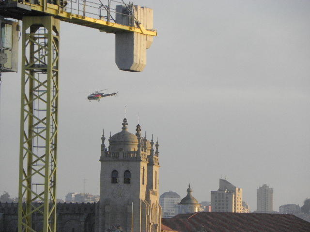 3295894.jpg