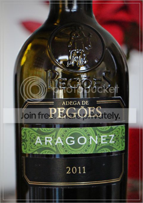 AdegadePegoes-Aragonez2011_480_zps0h4q8vzn.jpg