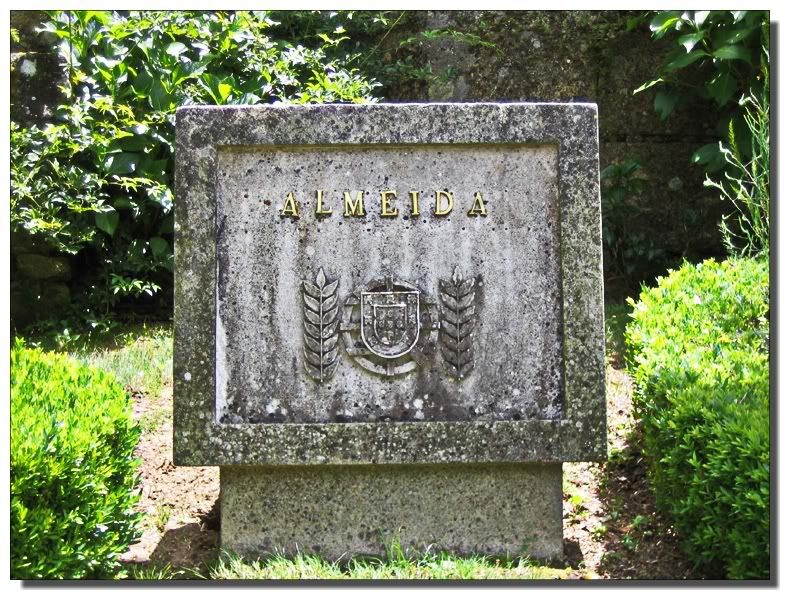 Almeida22Kopie.jpg