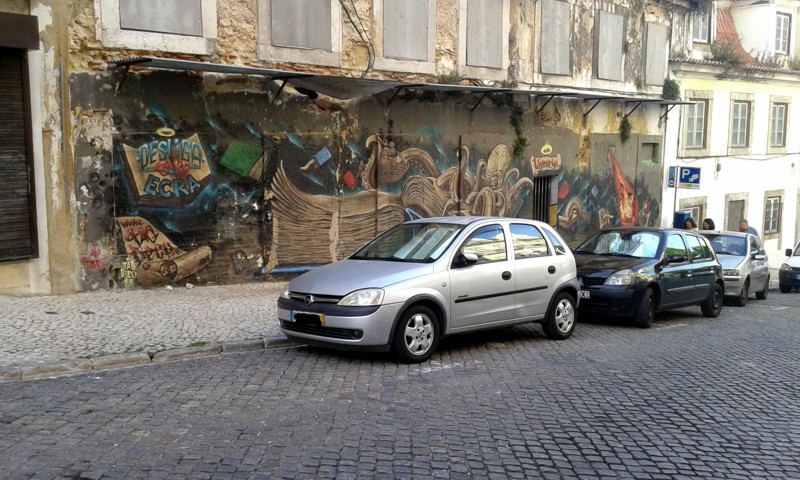 22362945lm.jpg