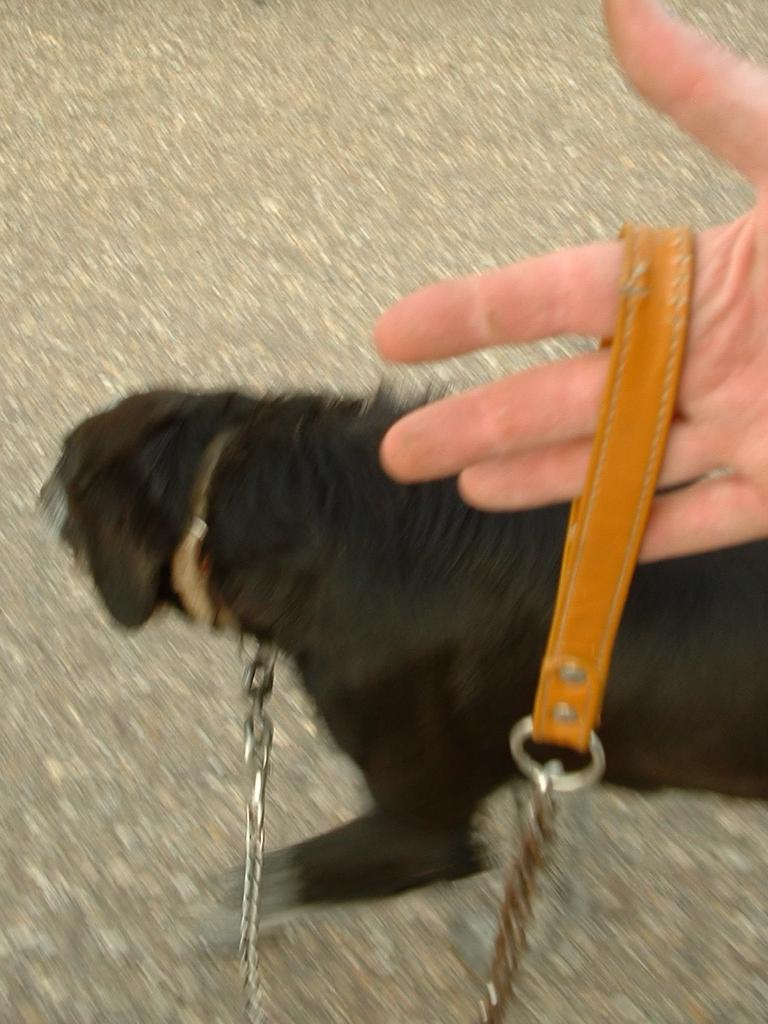 4855013.jpg