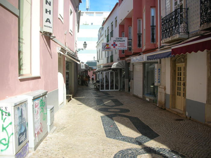 2954799.jpg