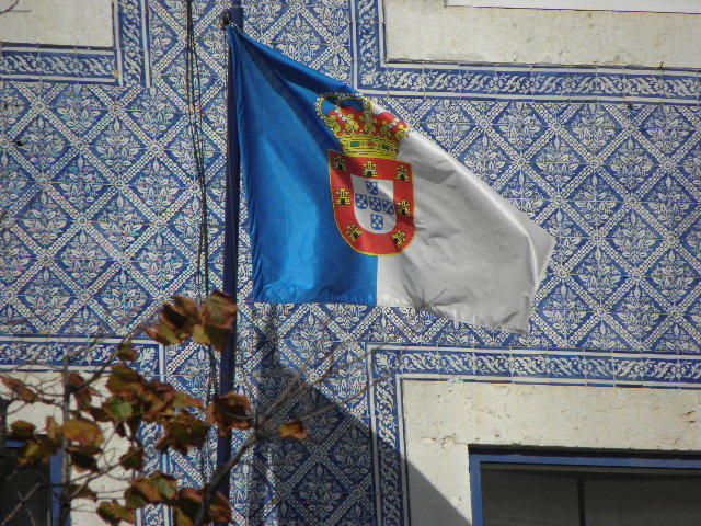 3114583.jpg