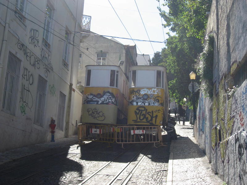 16938905tg.jpg