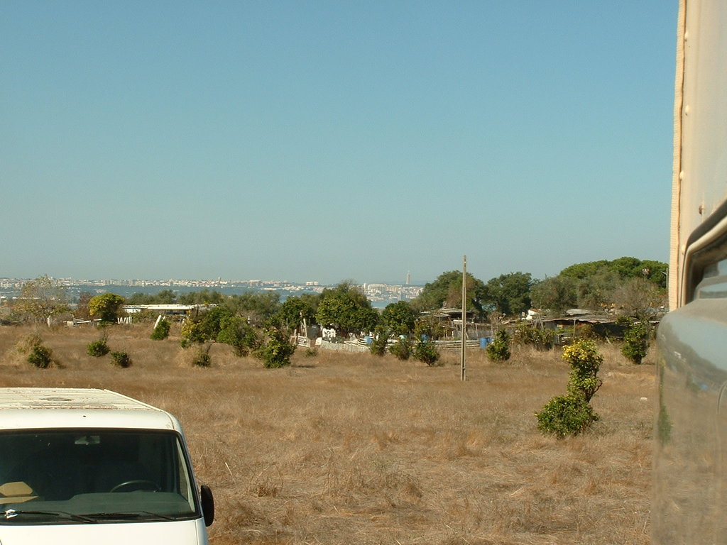 42318537dg.jpg