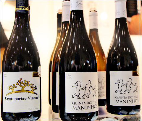 tresmaninhos480-02.jpg