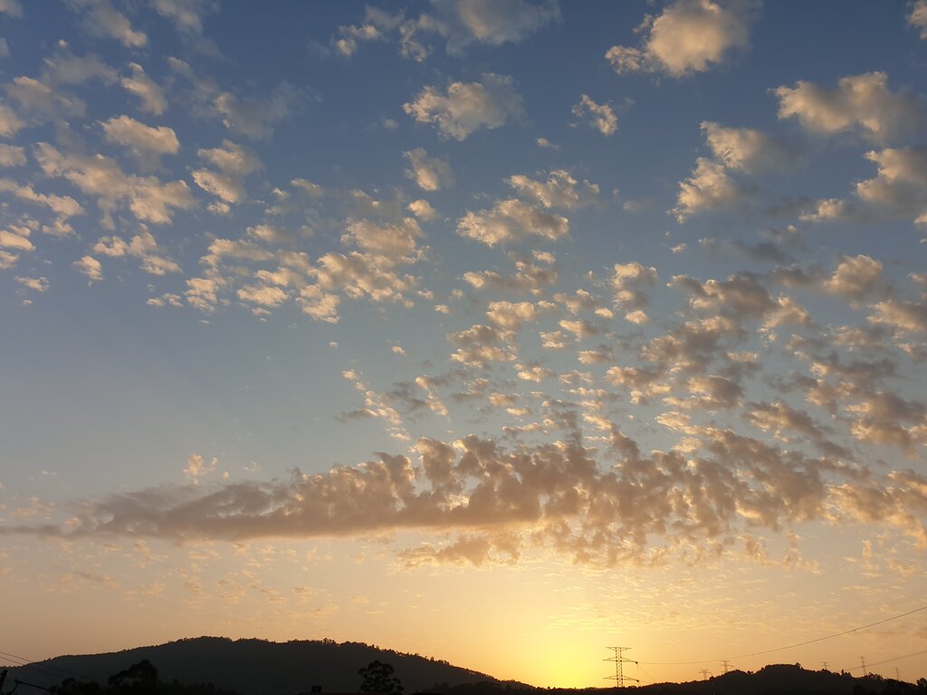 49746761ps.jpg