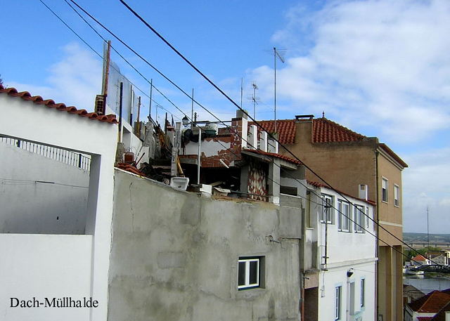 6137761.jpg
