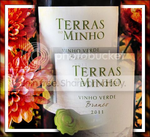 TerrasdoMinho2011.jpg