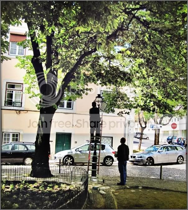 CandeeirosdLisboa1-600.jpg