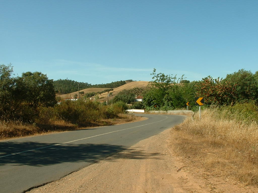 4923441.jpg