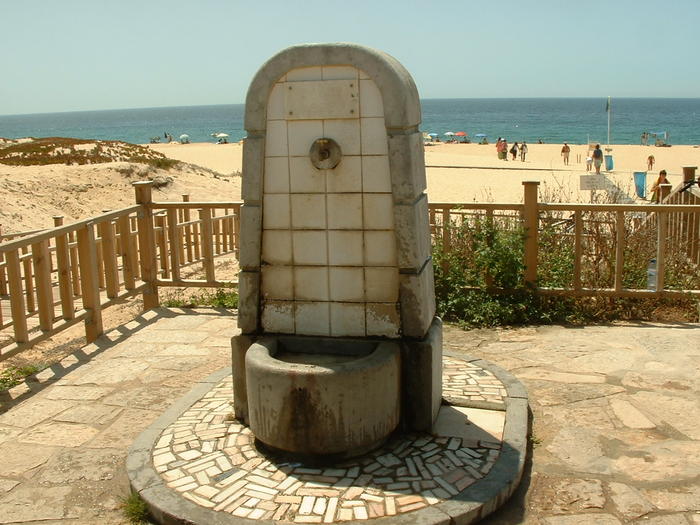 4951572.jpg