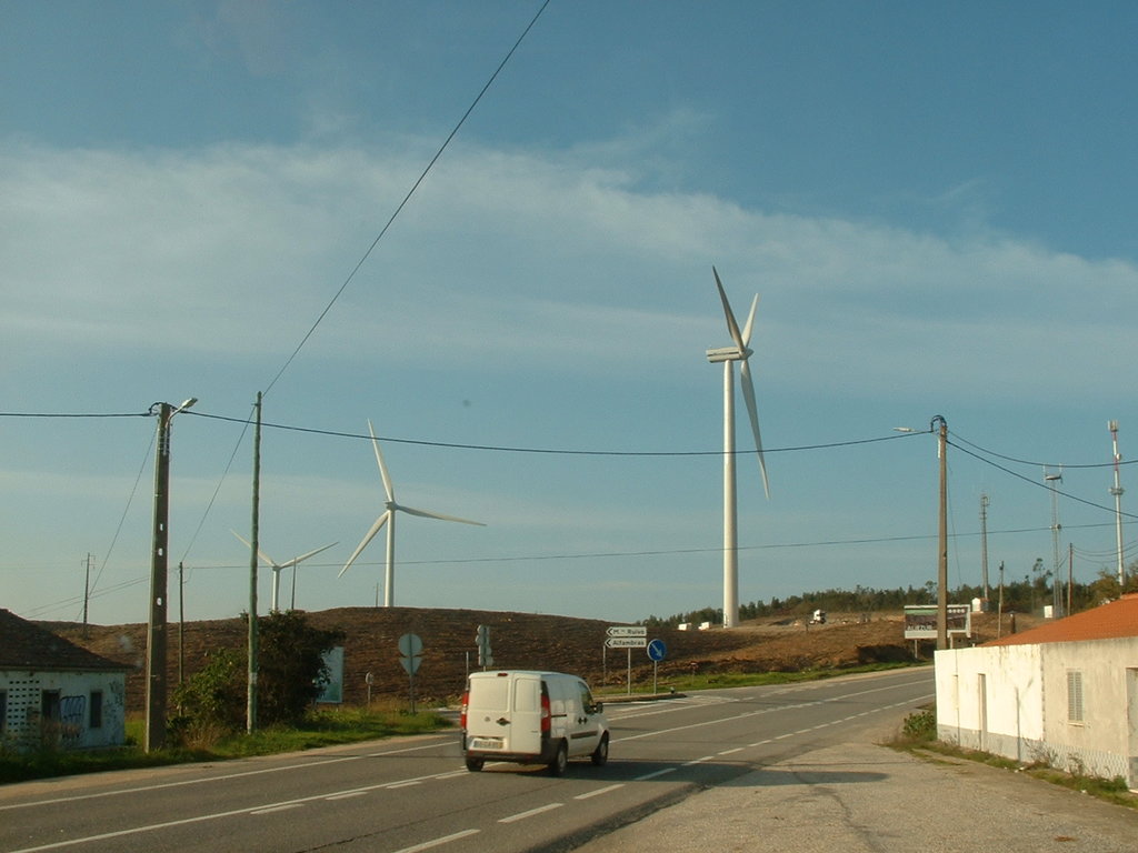 39411016dz.jpg