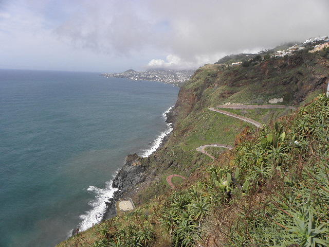 3785814.jpg
