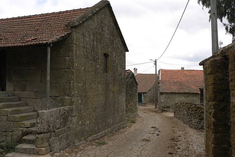 23102555xf.jpg